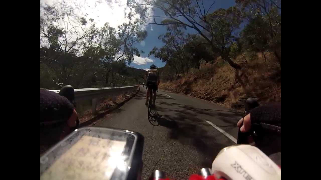 durianriders vs Vegan Rider