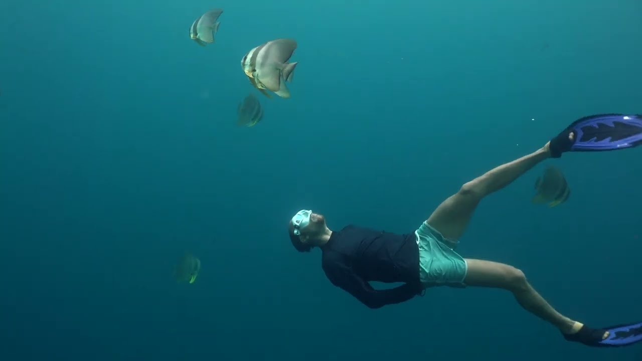 Full Moon Dives at Sail Rock 16 May 2022 Underwater video