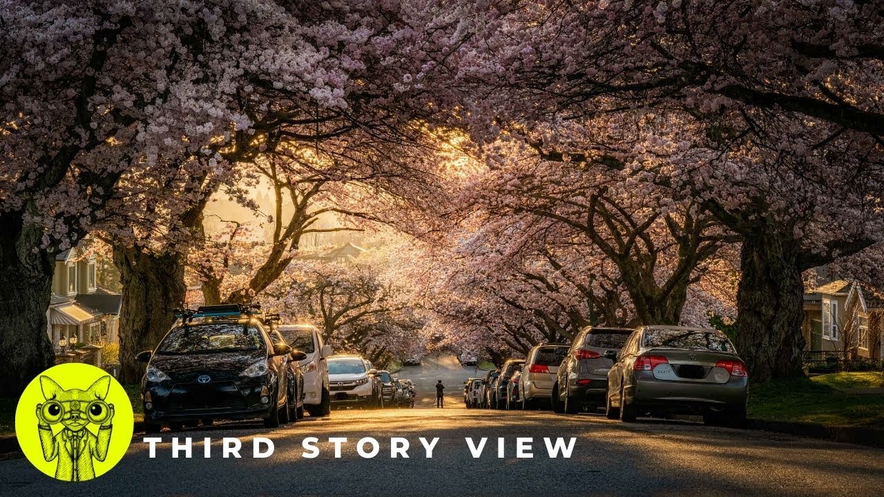 Cherry Blossom Festival Vancouver 🌸