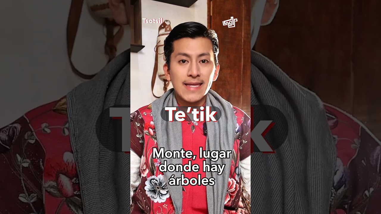Vocabulario en tsotsil CONOCE Y APRENDE TSOTSIL #Tsotsil #Chiapas #andrestachikinib