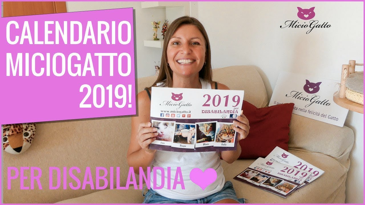 ❤ Il calendario di MicioGatto 2019! Per Disabilandia ❤