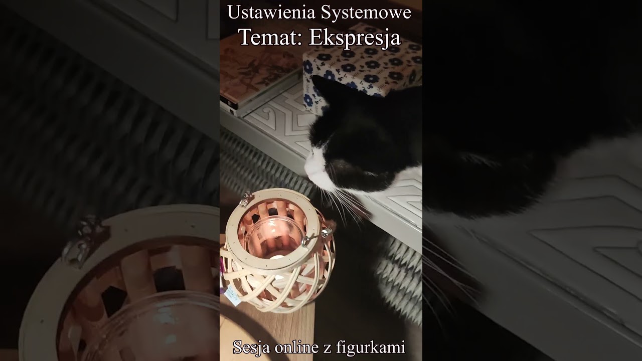 Ekspresja Ustawienia Hellingera na figurkach Sesja online