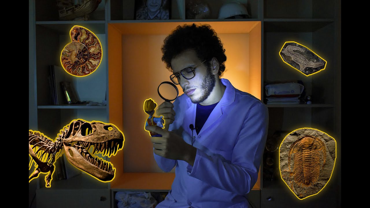 التأريخ بالكربون | Carbon dating