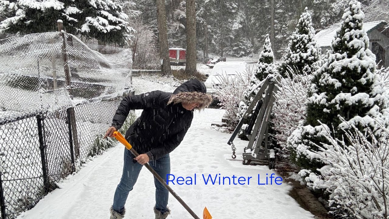 Snow Chores-Real Mountain Living🪏🪵