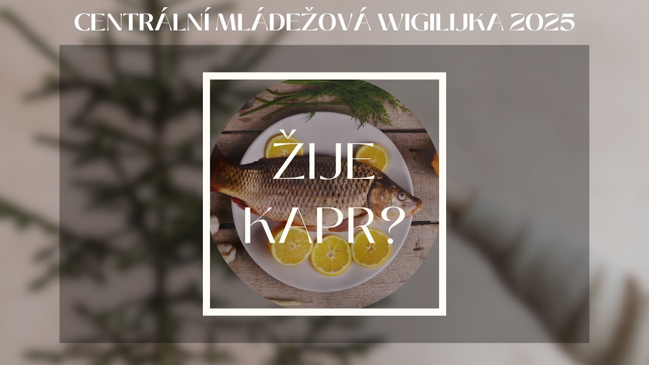 Žije Kapr? - Centrální Mládežová Wigilijka 2025