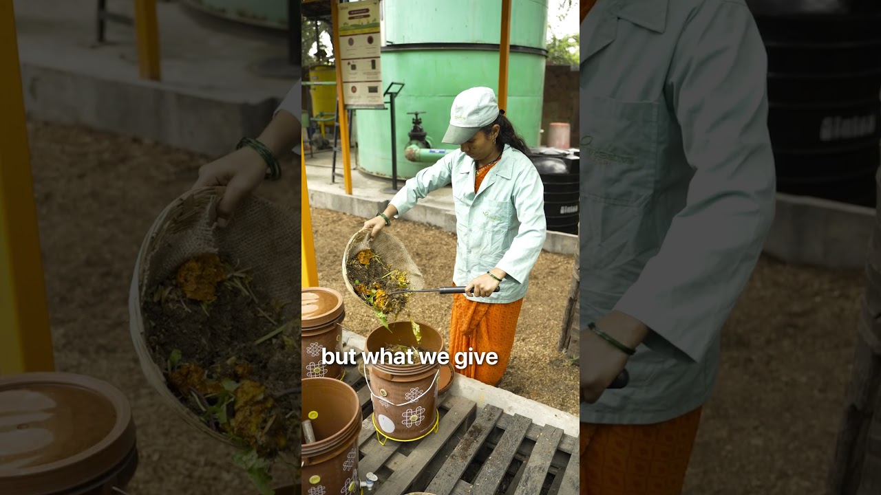 From oil to soil. Better choices with TEFF.