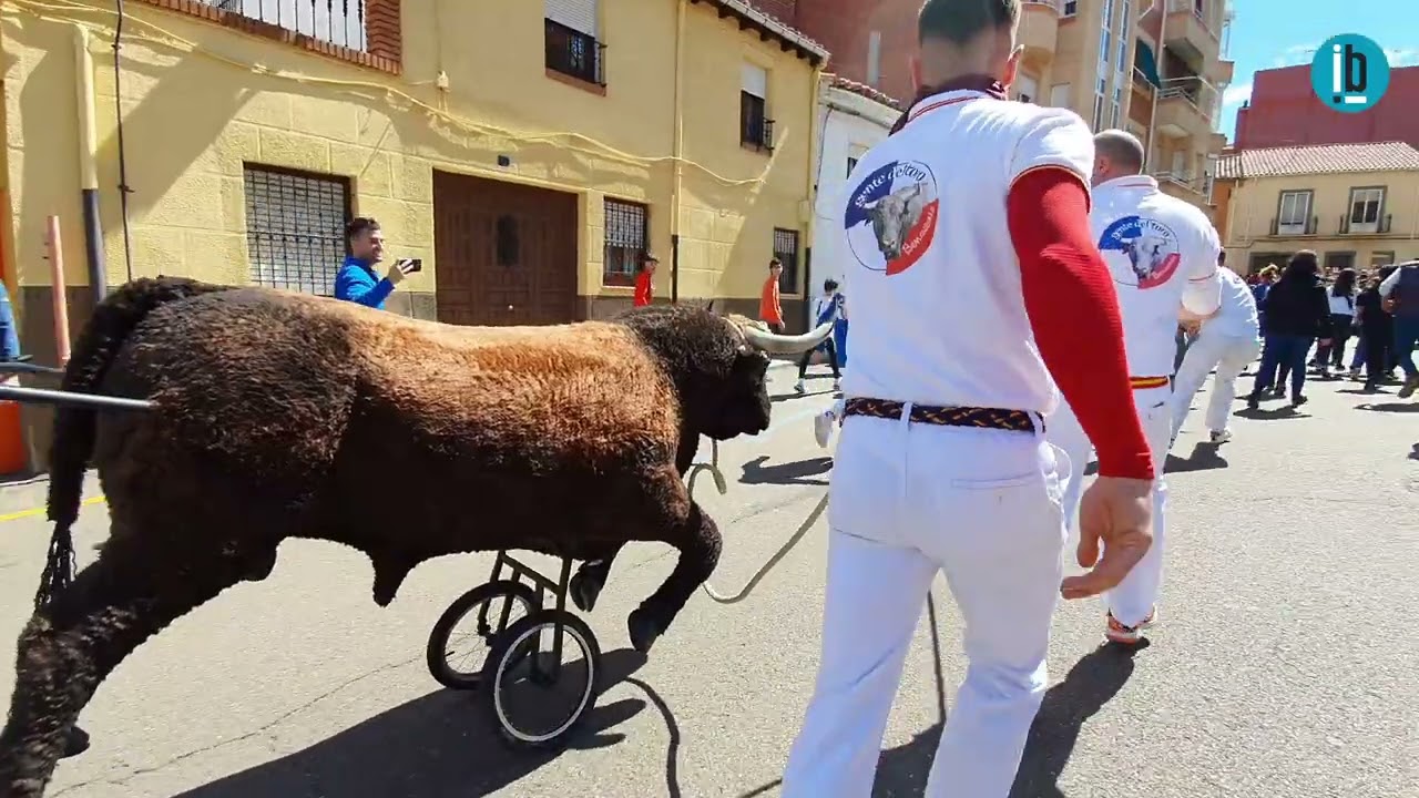 Escuelas Taurinas de Gente del Toro en la Veguilla 2022 de Benavente