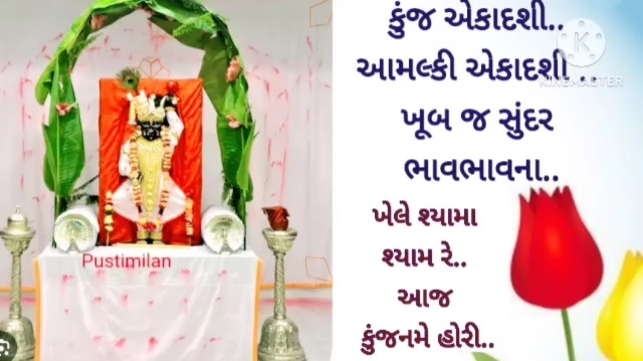 આમલકી (કુંજ) એકાદશી: ઠાકોરજીનો એવો પ્રસંગ જે સાંભળીને હૃદય ભરાઈ આવશે