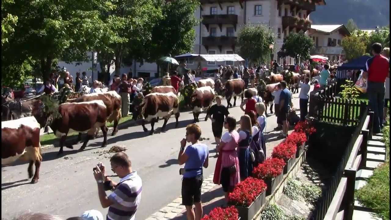 Almabtrieb in Krimml, Herbst 2011