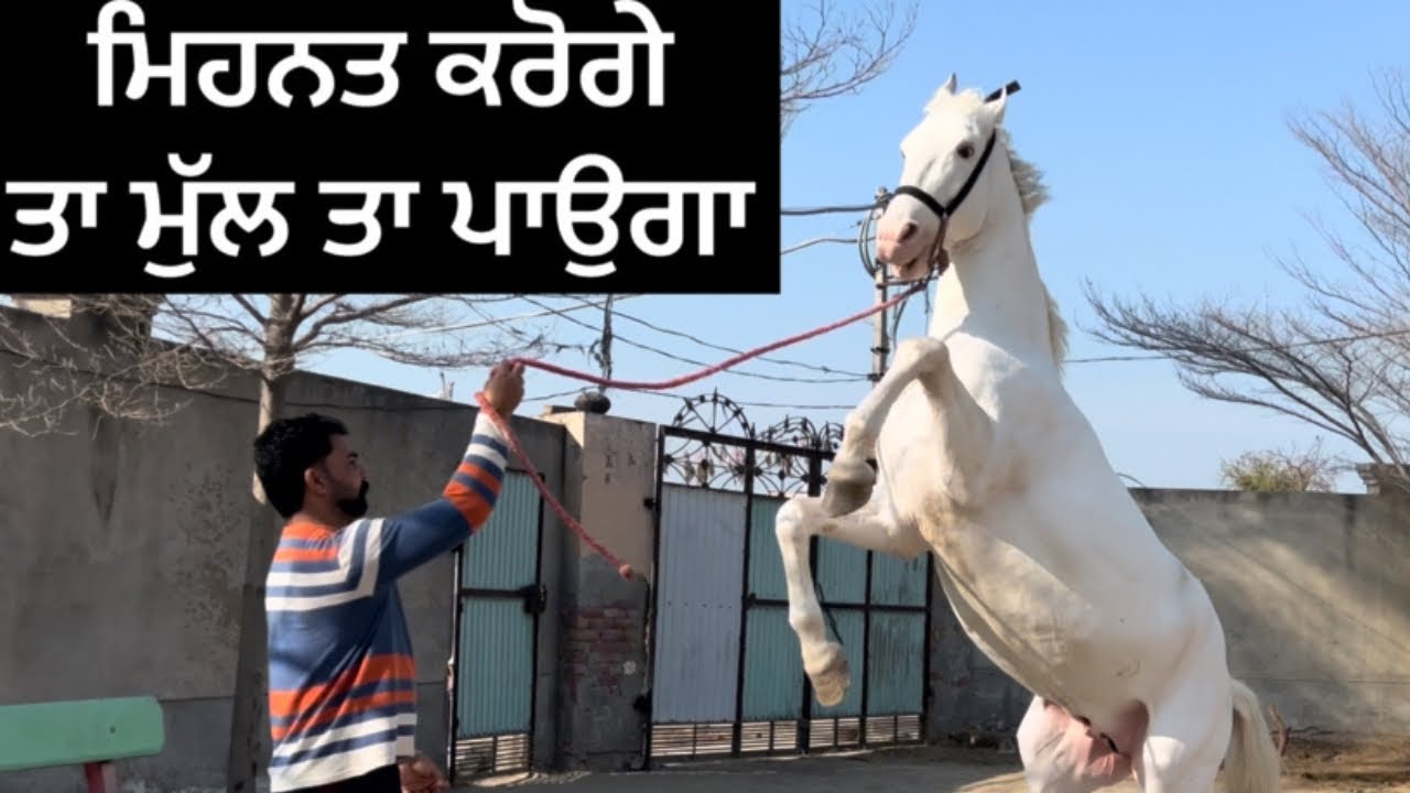 ਜਦੋਂ ਮਿਹਨਤ ਸੱਚੀ ਸੁੱਚੀ ਹੋਵੇ ਰੰਗ ਭਾਗ ਤਾਂ ਲੱਗ ਹੀ ਜਾਂਦੇ ਆ 