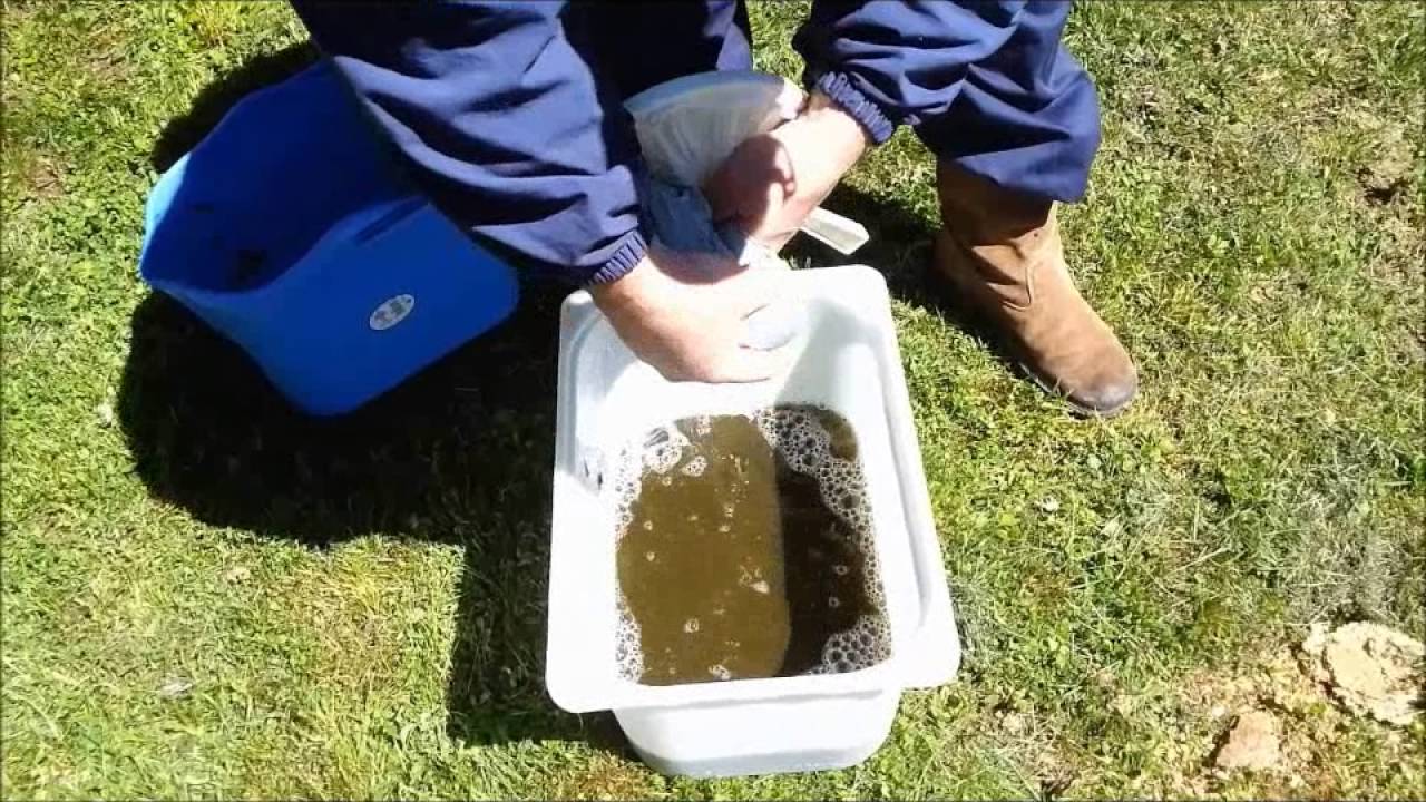 Agua verde para Daphnias (pulgas de agua)