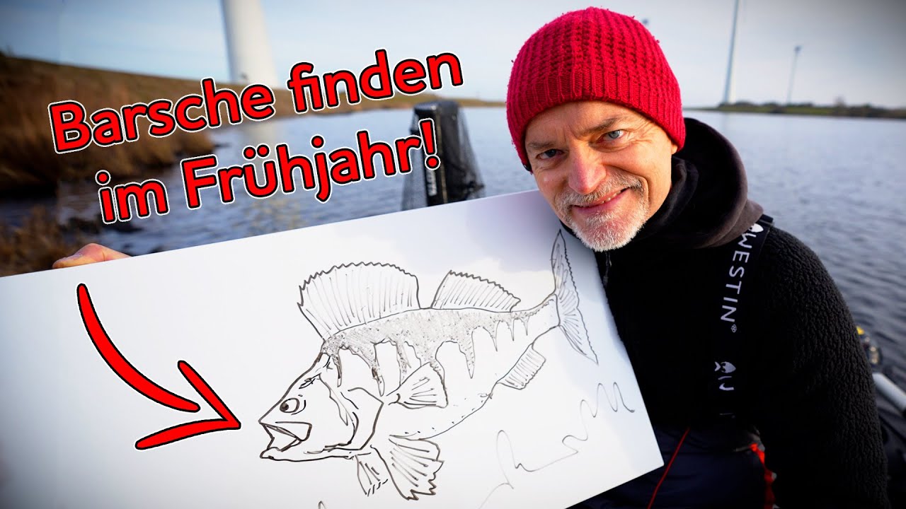 Dort findest du die Barsche im Frühjahr - Und diese Köder fangen!