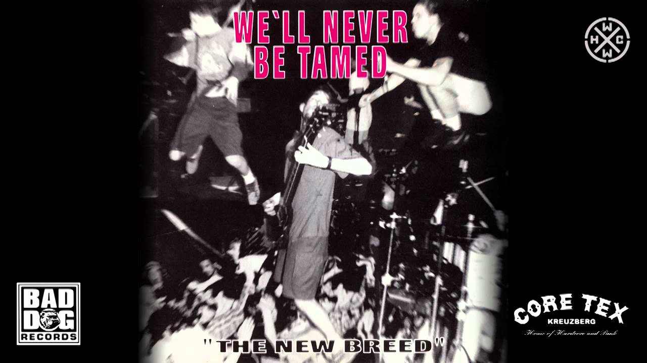 BRIGHTSIDE - RACE WAR - SAMPLER: WE&acute;LL NEVER BE TAMED - TRACK 11