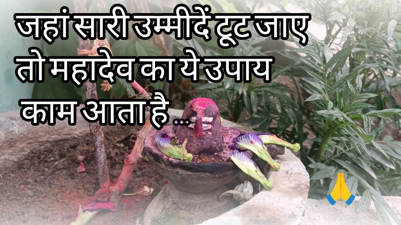 जहां सारी उम्मीदें टूट जाए वहां महादेव का ये उपाय जरूर काम आता है #trending #vastutips #upay #viral