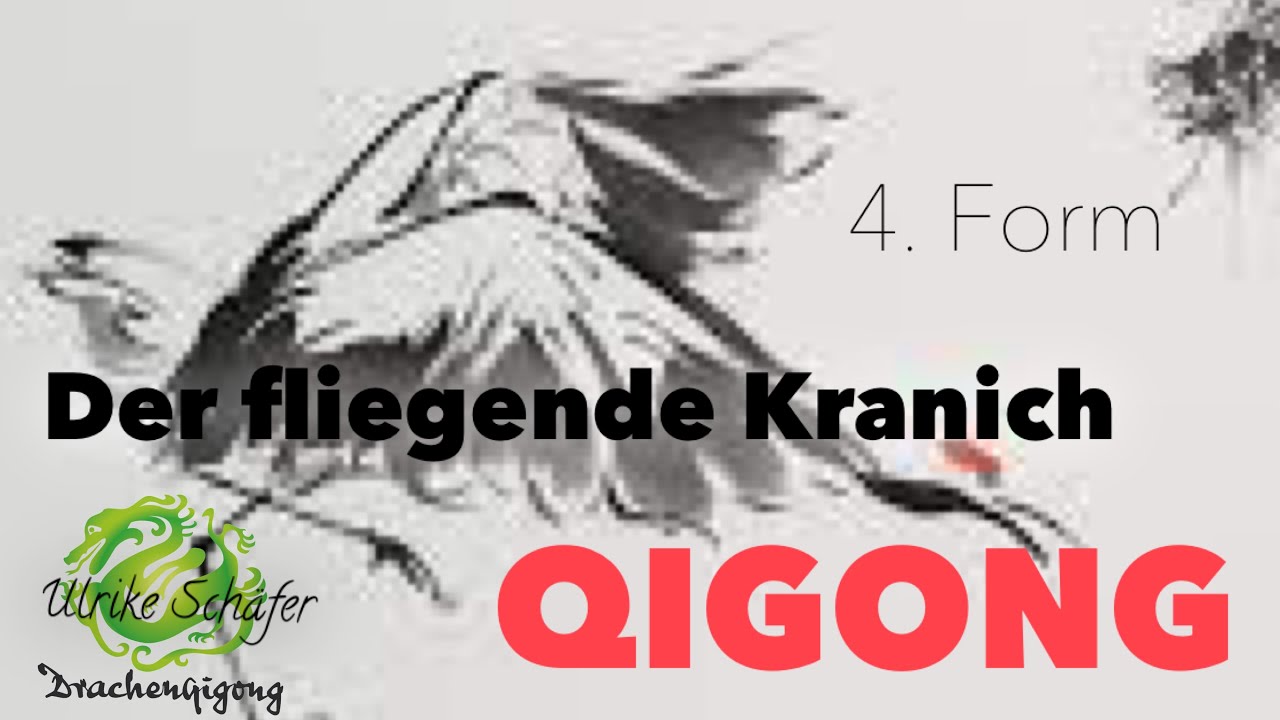 QIGONG Fliegender Kranich - Form 4 - Der Kranich streift das Wasser - Übungsvideo für Kursteilnehmer