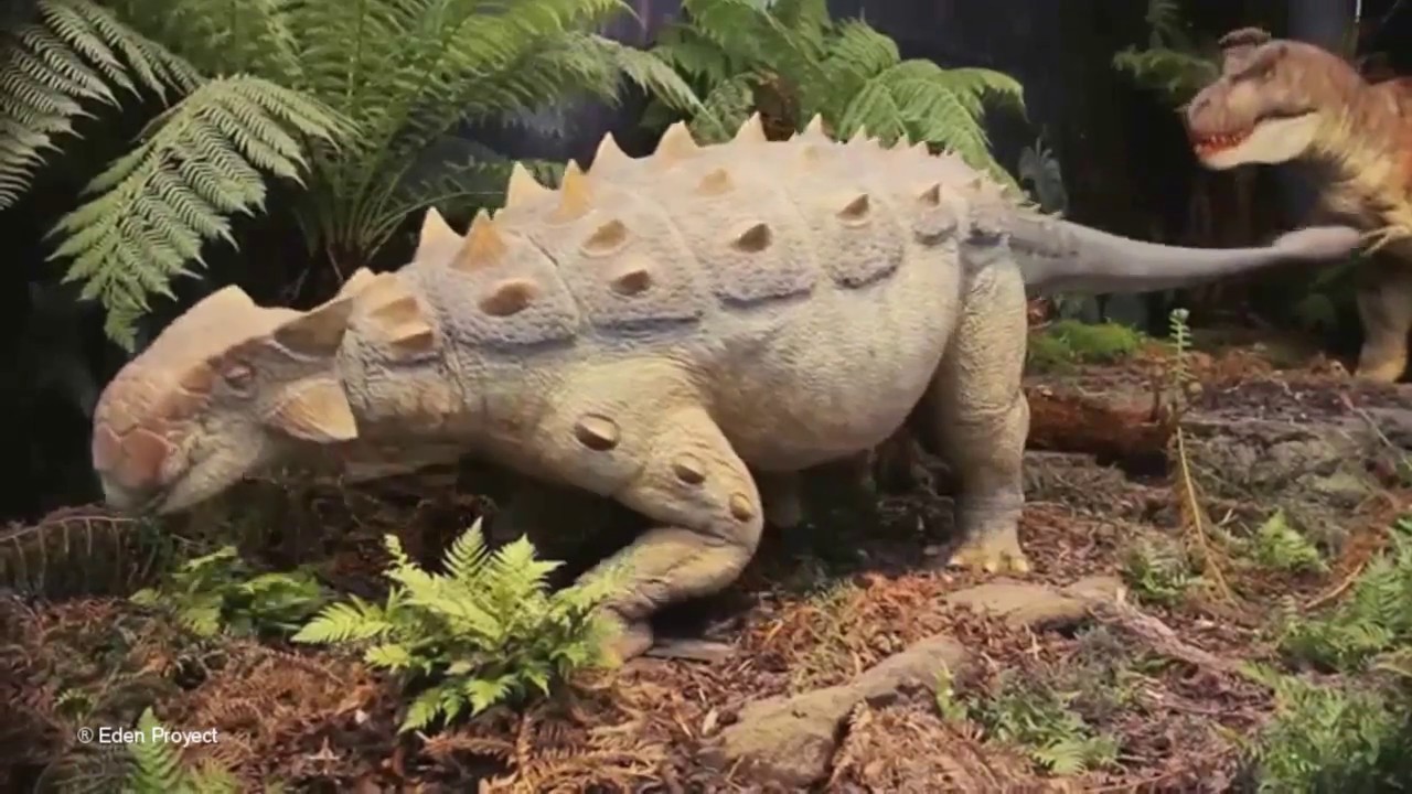 Din&oacute;polis DINOTERRA 2017