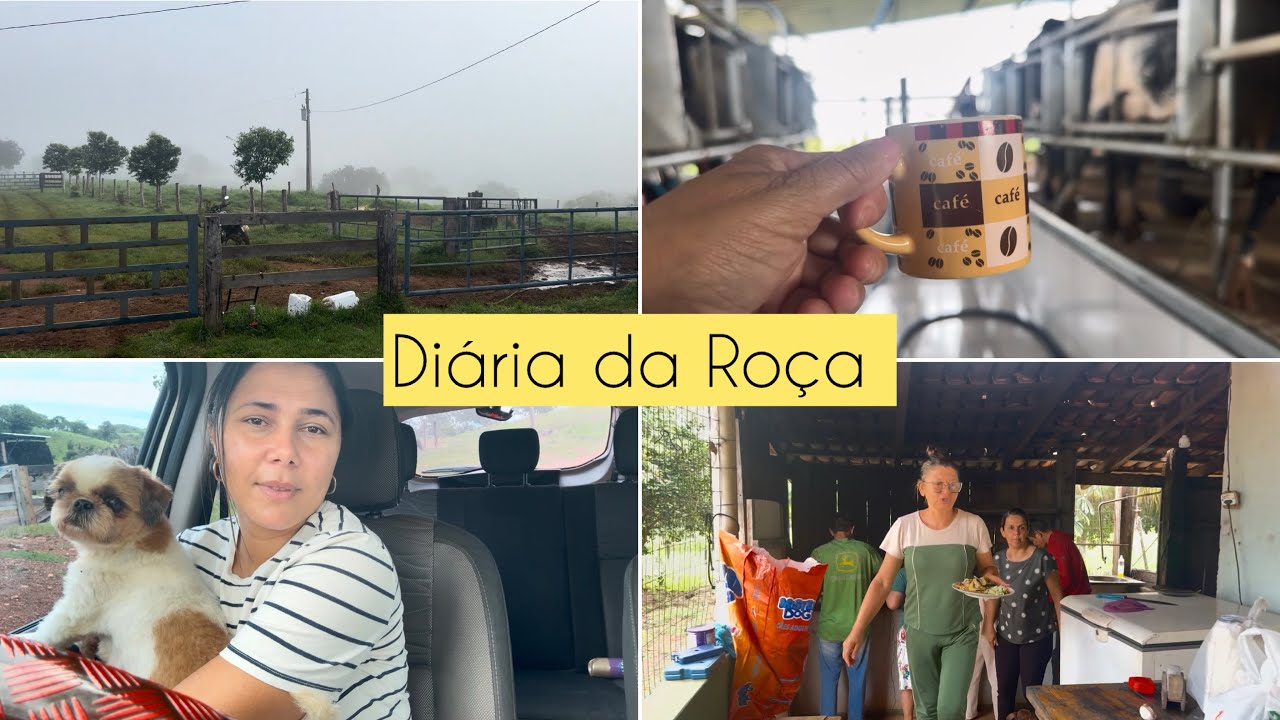 COMO TEM SIDO MINHA ROTINA NA ROCA/ ORDENHA | FOMOS ALMOÇAR FORA !