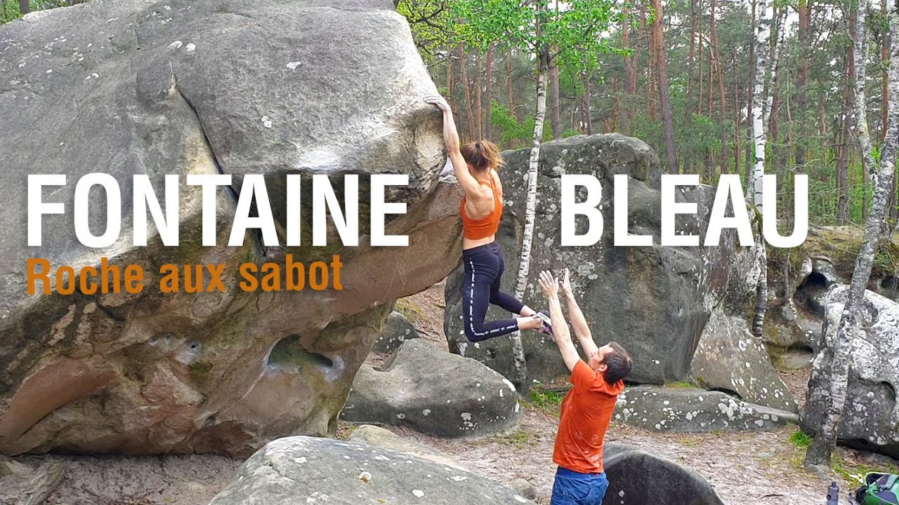 FONTAINEBLEAU | Roche aux Sabot
