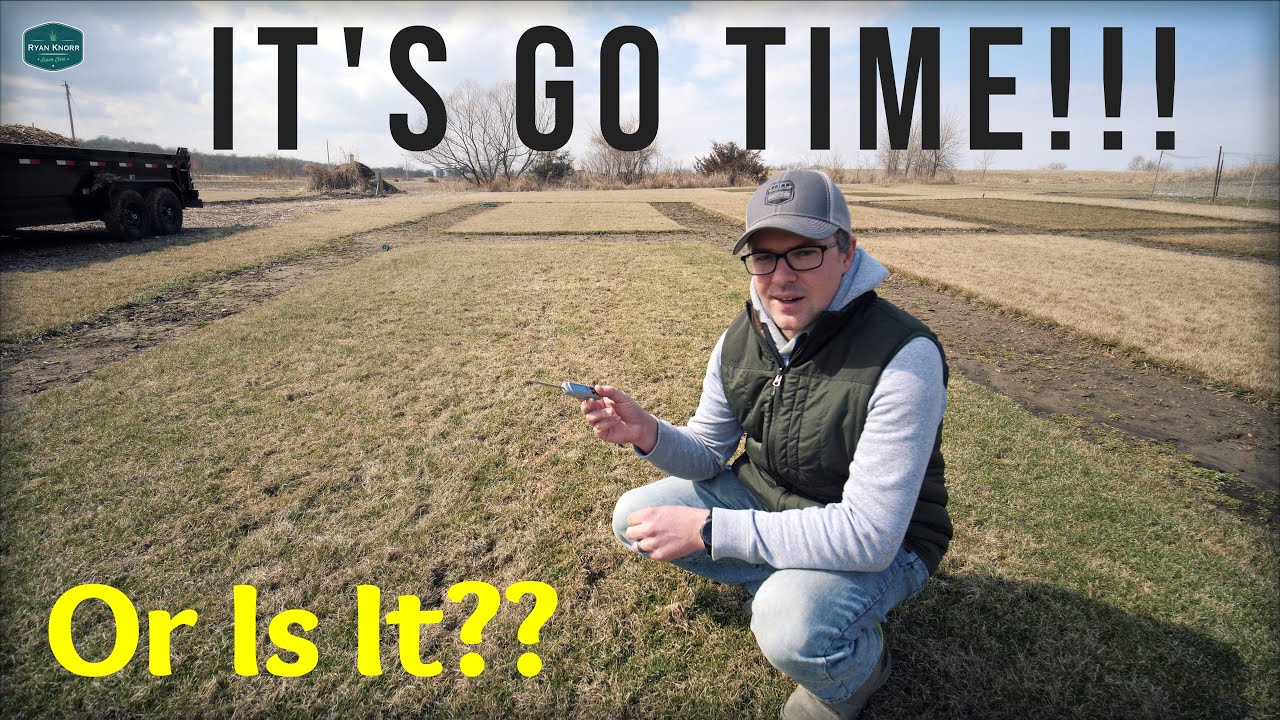 Is It Too Early For Pre Emergent?? // Spring Lawn Care 2023
