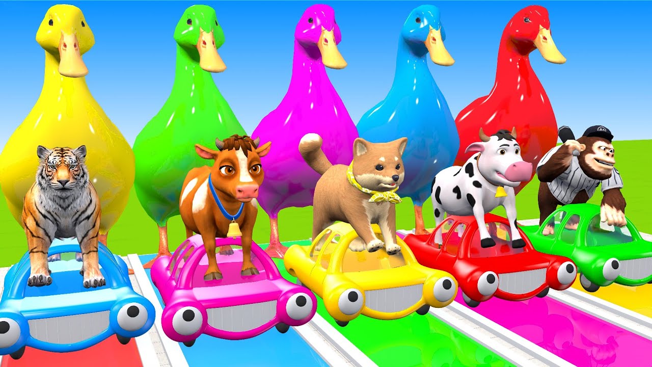 5 Giant Duck Cartoon,Cow,Elephant,Tiger,Lion,Dinosaur,Paint Wild Animals Crossing Fountain Animation