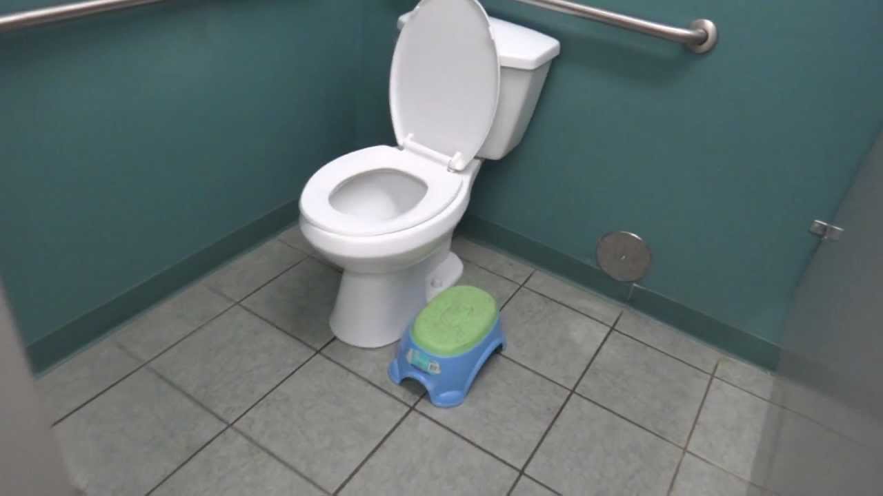 Bathroom Tour: American Standard Urinal and Glacier Bay Toilet