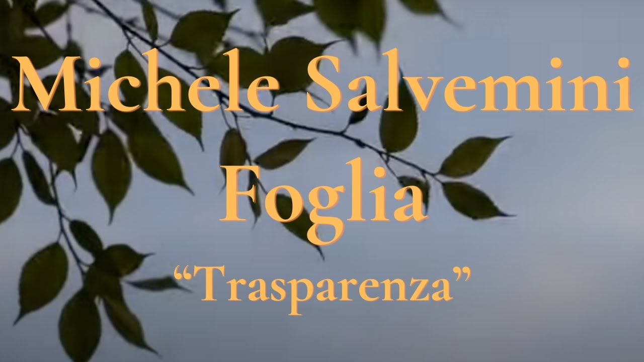 Michele Salvemini – Foglia ("Trasparenza")
