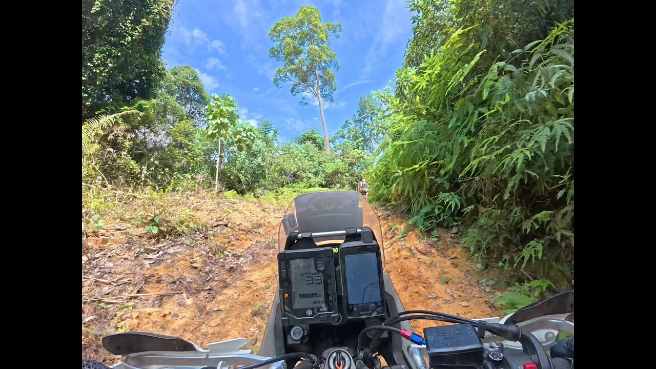 Rimba Raid Jungle Race 2025 Lenggong Perak Malaysia