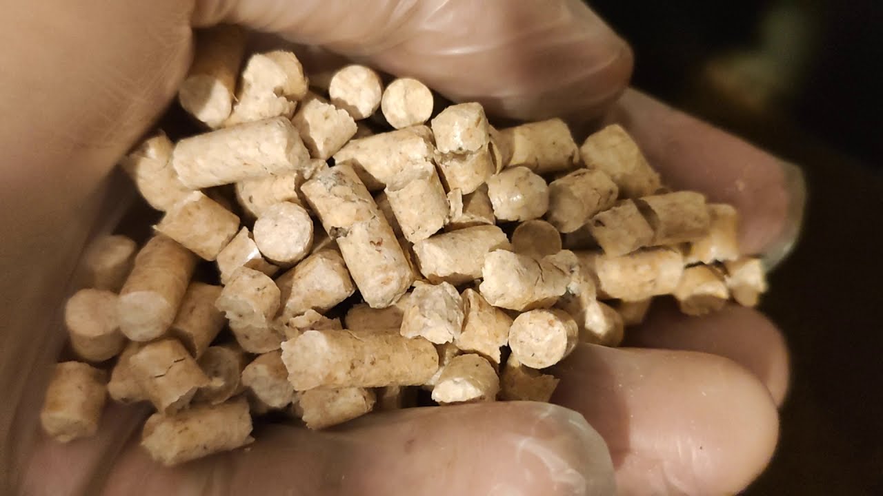 Test-pellet-Pan Groszek-GREEN, niska-zawartość-popiołu i bez spieków, Najlepsza-jakość