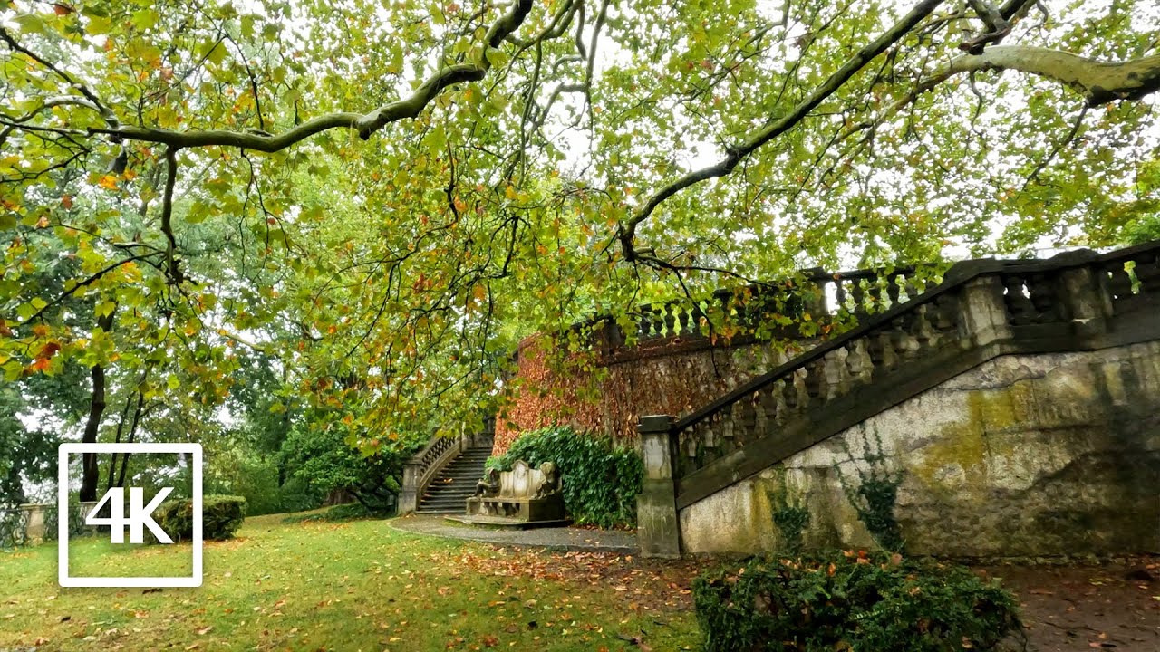 Walk With Me: Cozy Fall Strolls in Rainy Linz, Austria