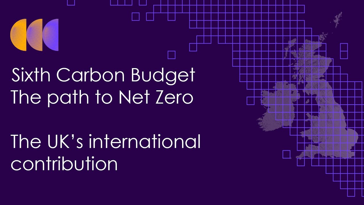 Event: The Path to Net Zero - The UK&rsquo;s international contribution