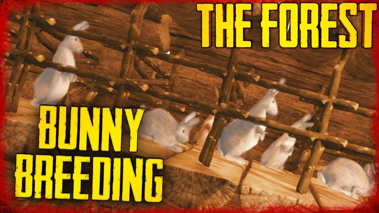 THE RABBIT FARM - S5 EP22 | The Forest