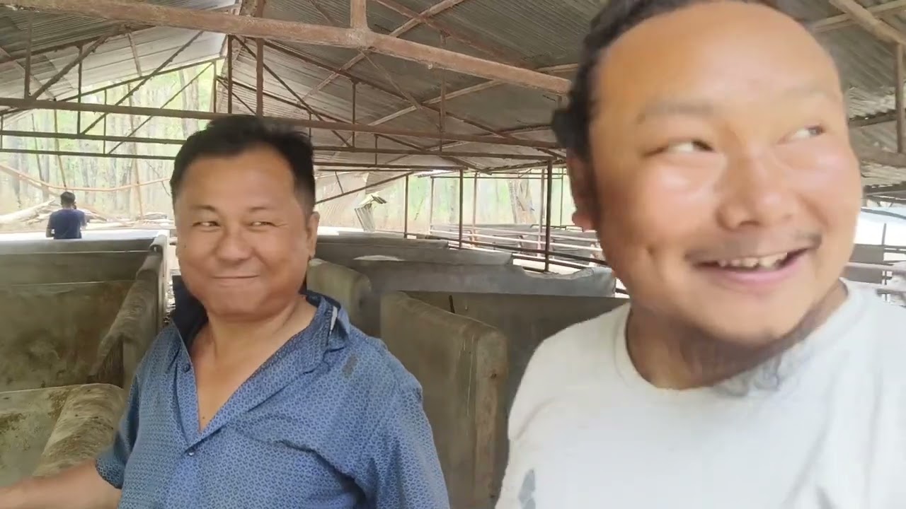 हलका tour मा है साथी भाई 🤣❤️🙏🤘