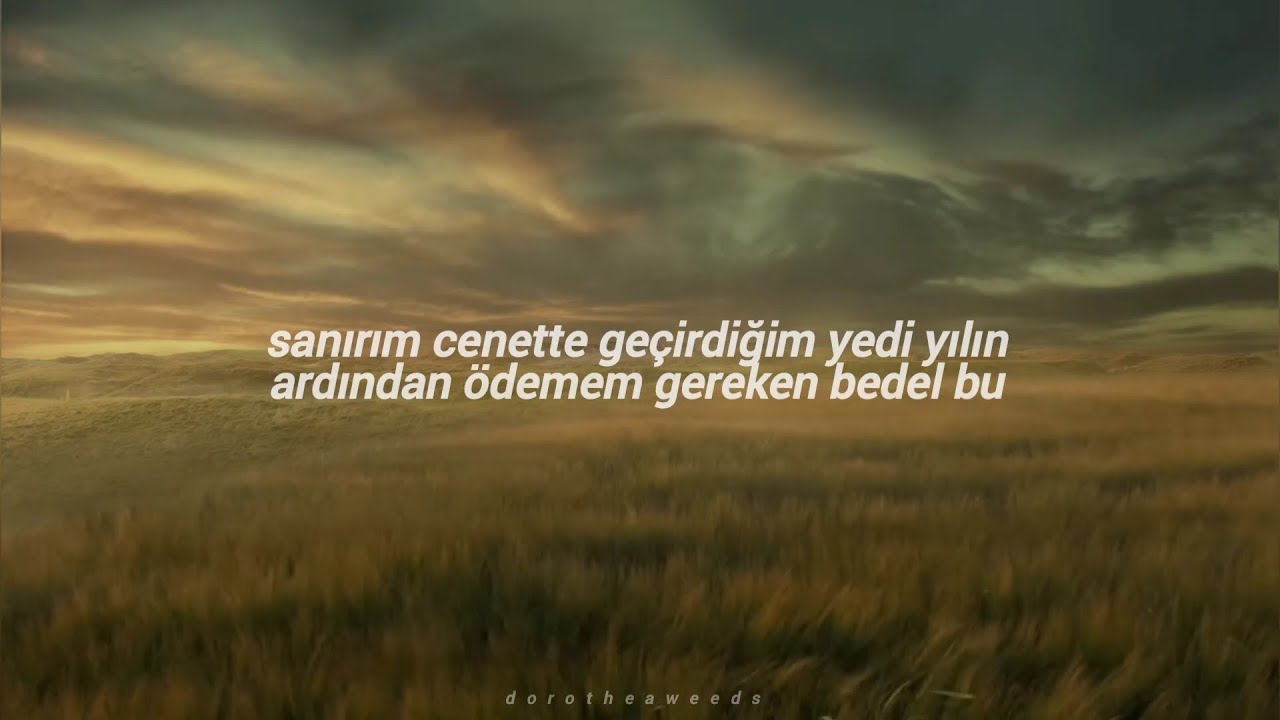taylor swift - happiness (türkçe çeviri)