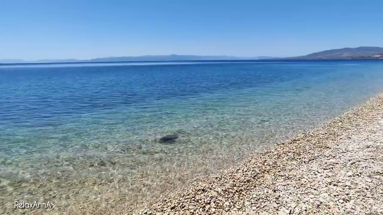 Cicadas by the Sea - Ocean Waves & Cicada Sounds - Greek Beach Ambience to Relax and Sleep