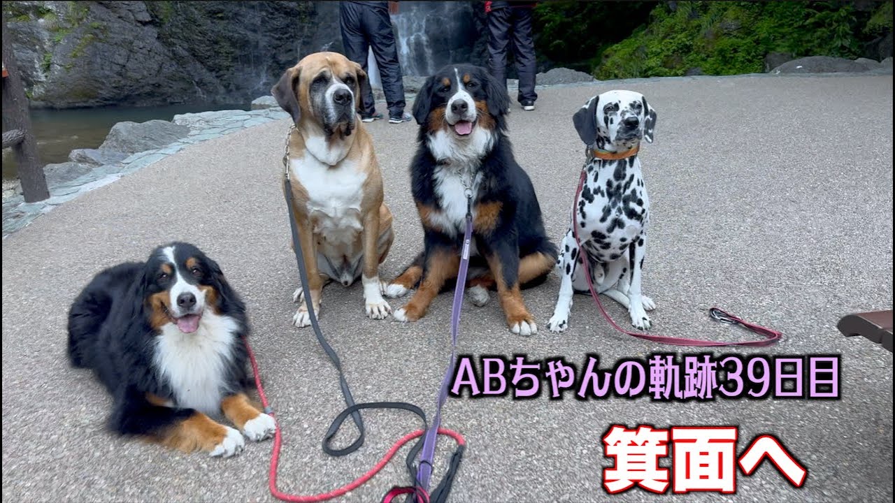 関西へ遠出1日目【AB39日目】