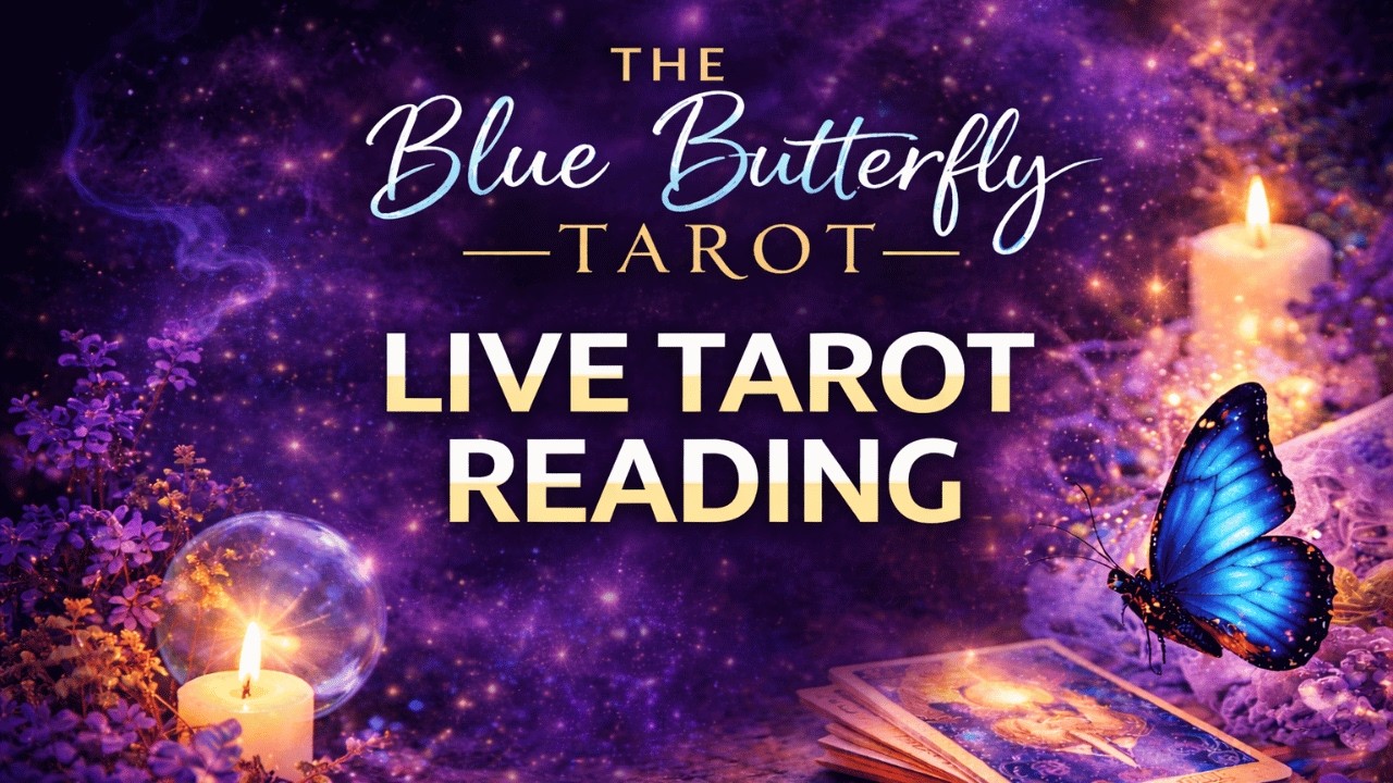 LIVE TAROT READING 💕🦋 23/2/26 - - ⚠️ REGISTER QUESTIONS THROUGH LINK ONLY PLEASE