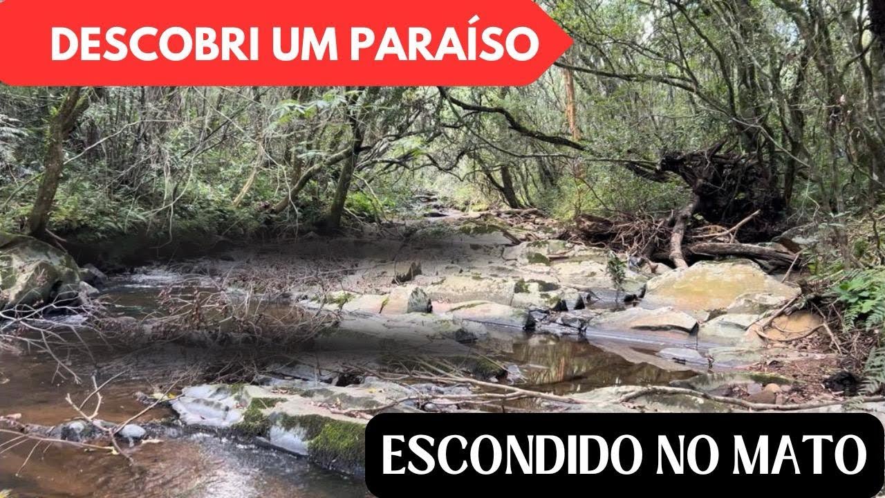 Um RIO secreto no meio do MATO! Lugar incrível 