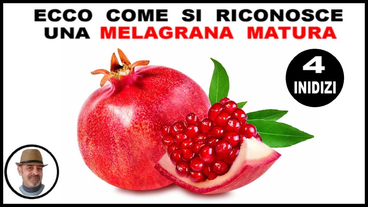 ECCO COME SI RICONOSCERE UNA MELAGRANA MATURA con solo quattro indizi