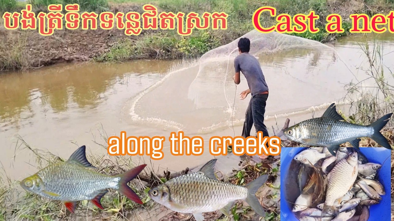 Cast a net along the creeks.