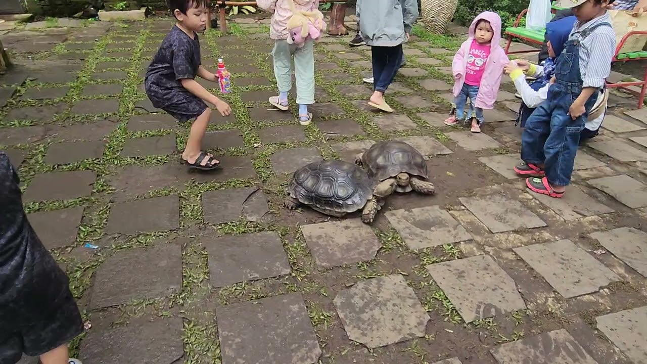 Taman satwa cikembulan