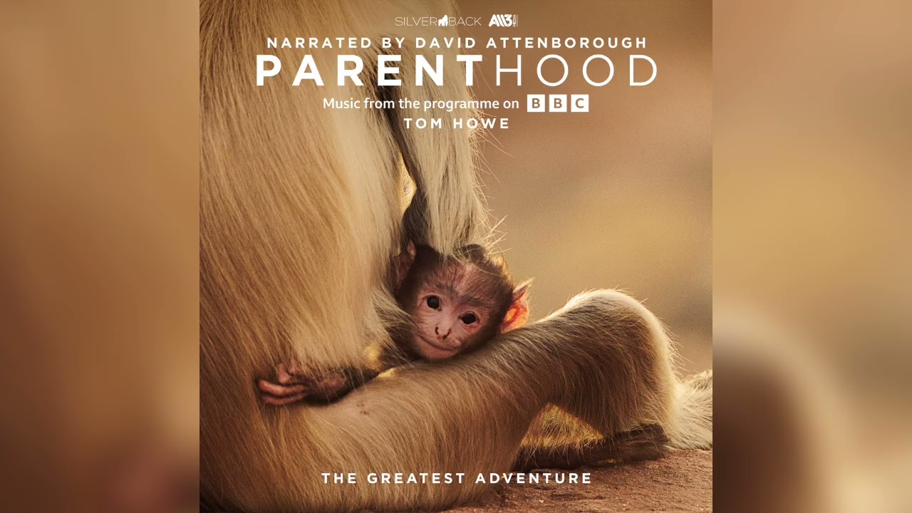 Tom Howe - Lynx - Parenthood: The Greatest Adventure Episode 1 (Music from the Program me on BBC)