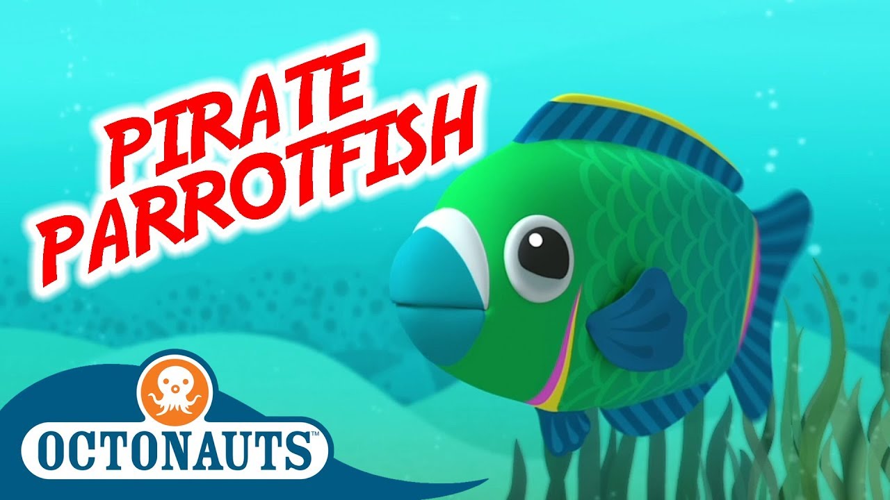 Octonauts - Pirate Parrotfish | Full Episode | Cartoons for Kids