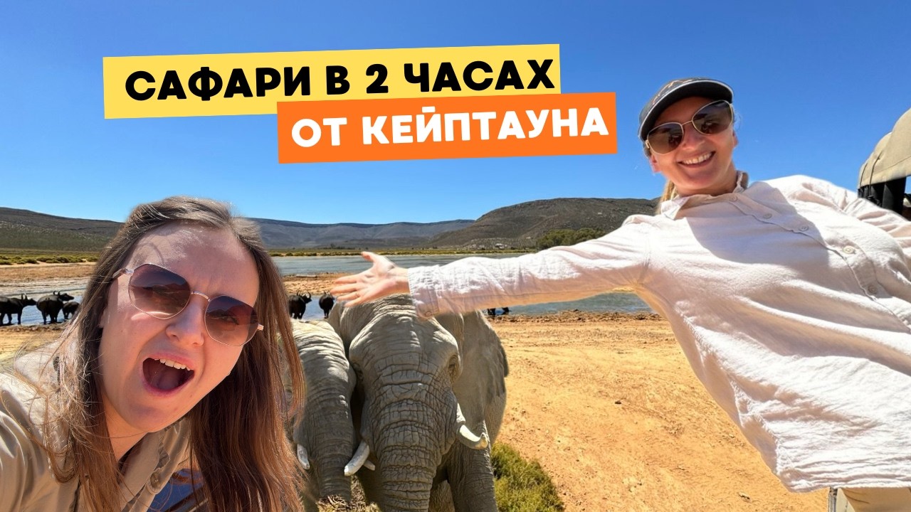 ИДЕАЛЬНОЕ САФАРИ ДЛЯ НОВИЧКОВ!
