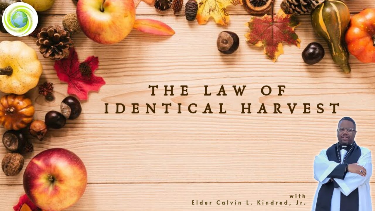 Morning Worship | The Law of Identical Harvest