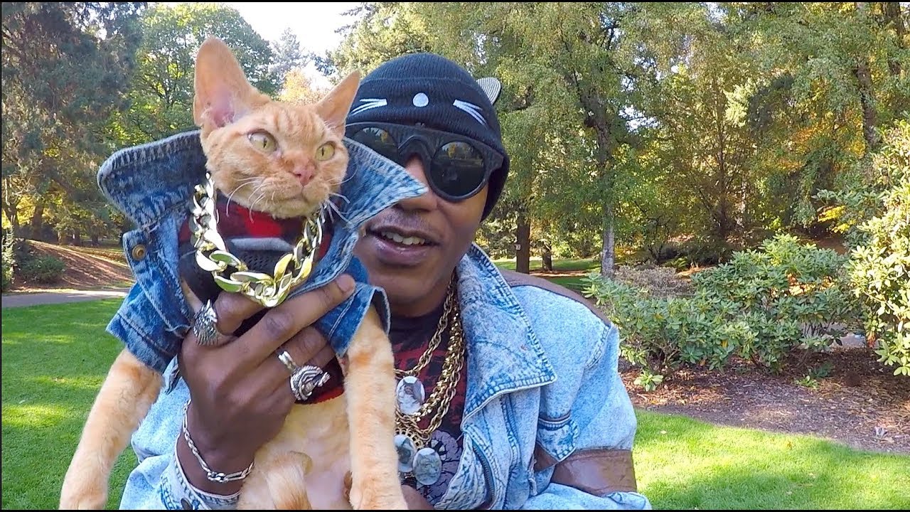 iAmMoshow - CATTA$TIC (Official Video)