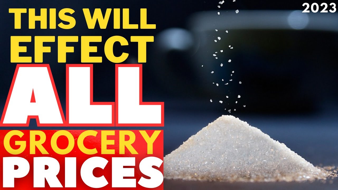 BIGGEST GLOBAL SUGAR SHORTAGE To SURGE Food Inflation & food shortage