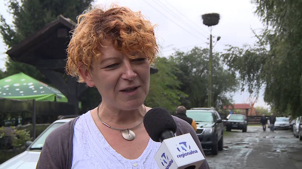 GMINA PRZEMK&Oacute;W  Święto Wesołego Karpia