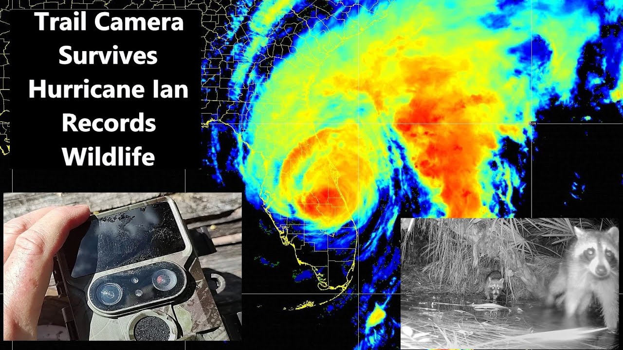 Campark TC06 Trail Camera Survives Hurricane Ian Flood and Records Wildlife