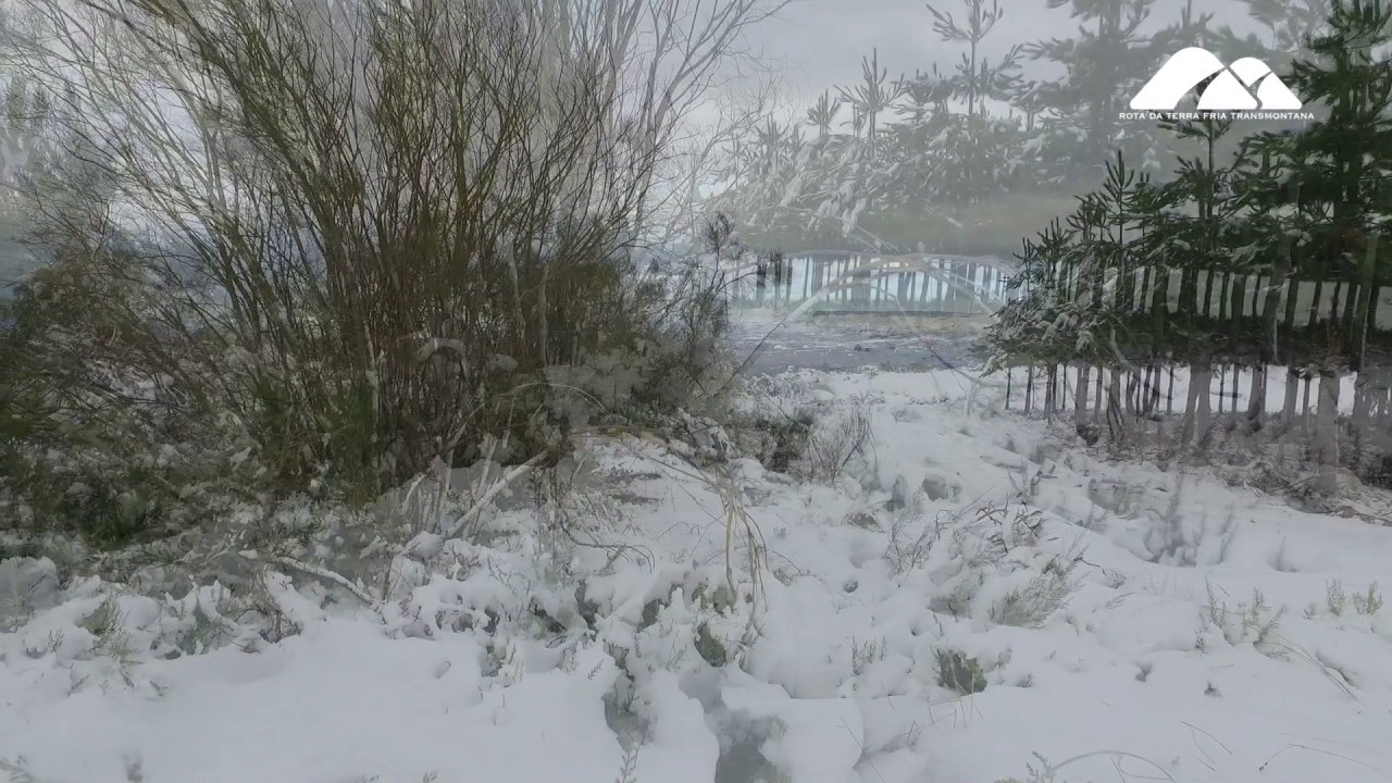 Neve Rota terra fria