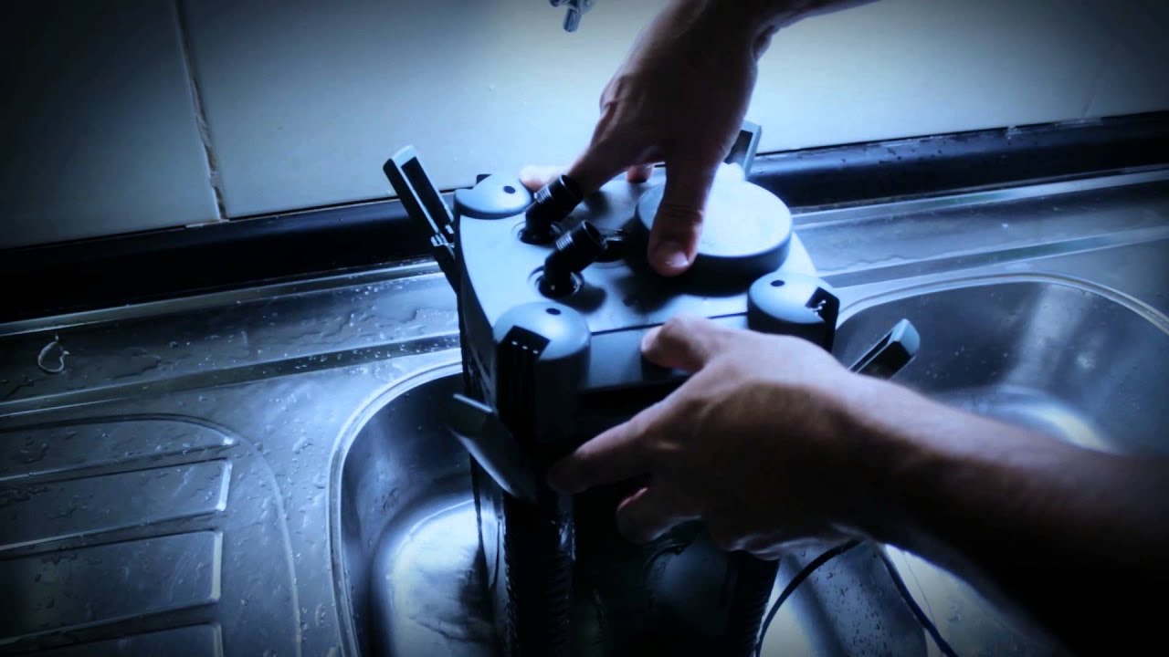 MANUTENÇÃO FILTRO CANISTER - FISHPLANET
